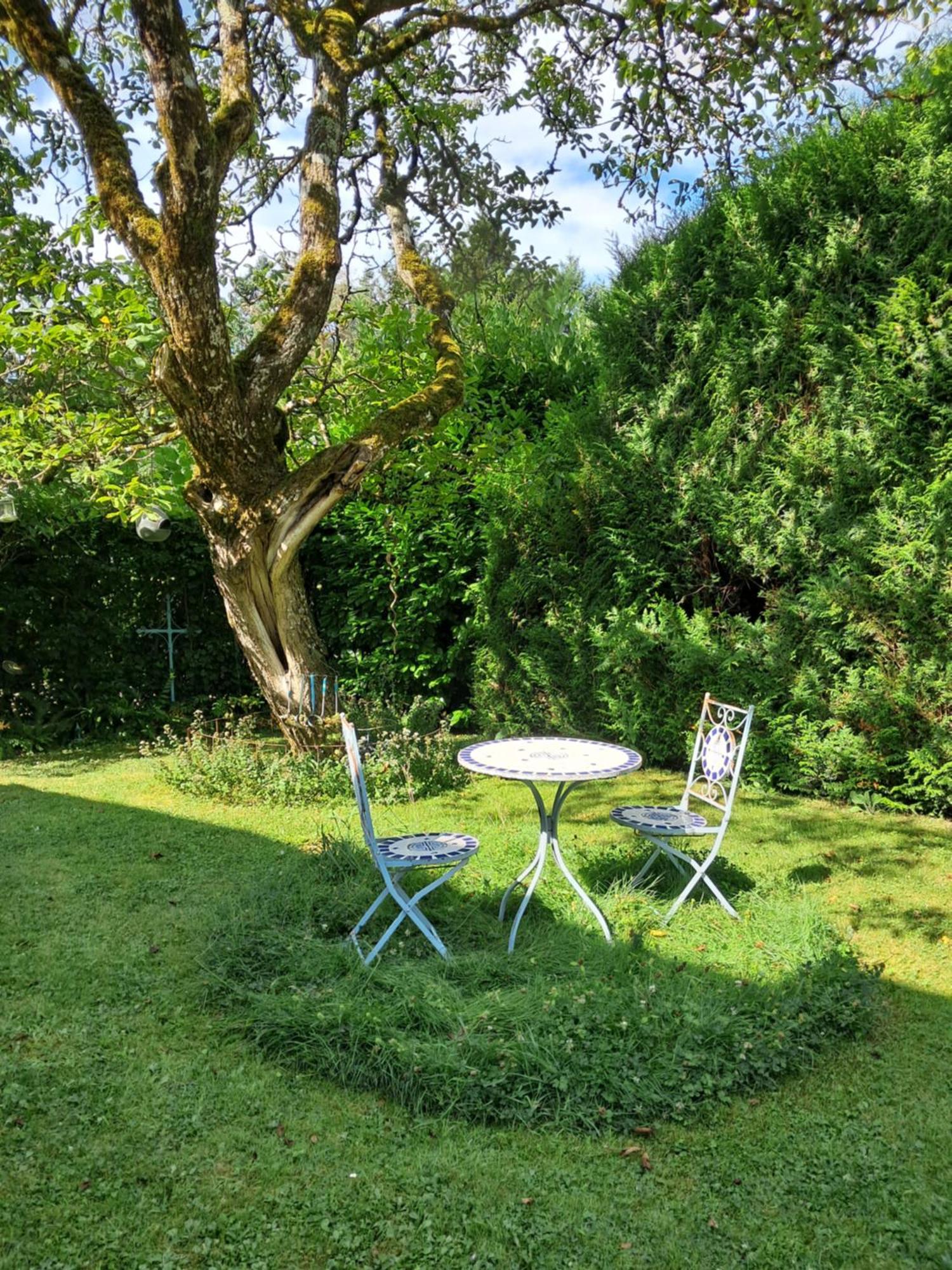 Bed and Breakfast Le Buisson De La Gariole Aubigny-sur-Nère Zewnętrze zdjęcie